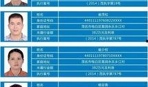电白论坛最新爆料,揭秘当地热点事件背后的真相