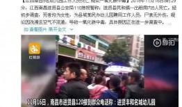 进贤在线爆料最新消息今天,今日热点事件速览