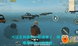 和平精英最新爆料bug,玩家体验大打折扣！