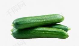 吃瓜爆料素材下载安装最新,吃瓜爆料素材背后的秘密，最新下载安装指南