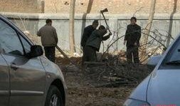 绿地车位最新爆料,揭秘最新爆料与价格走势