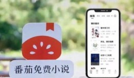 番茄小说最新爆料,揭秘热门IP背后的创作秘密与幕后故事