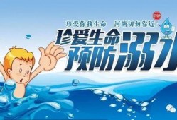 最新爆料珍爱生命,揭秘最新爆料背后的警示与反思