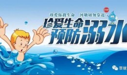 最新爆料珍爱生命,揭秘最新爆料背后的警示与反思