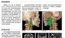 脑科肿瘤爆料案例最新,最新爆料揭示治疗挑战与希望