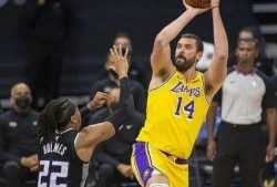 湖人最新交易消息爆料中锋,中锋位置迎来重磅补强！”