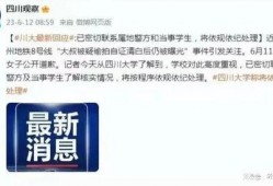 川大事件最新爆料消息,揭秘背后惊人内幕