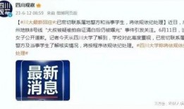 川大事件最新爆料消息,揭秘背后惊人内幕