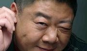 北京爆料刘金山是谁啊最新消息,揭秘北京娱乐圈风云人物