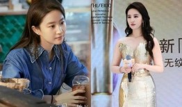 明星故事最新爆料大全,明星故事最新爆料大盘点