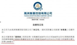 禹洲集团最新爆料事件,揭秘事件背后真相与影响