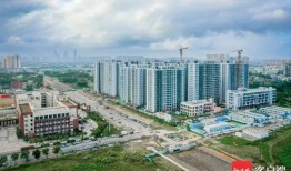 海口电白雅居爆料了吗最新消息