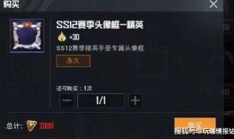 和平精英ss 7最新皮肤爆料,炫酷新装惊艳亮相