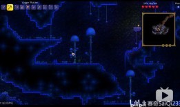 泰拉最新爆料,揭秘神秘事件背后的惊人真相